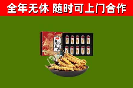 静海烟酒回收冬虫夏草礼盒.jpg