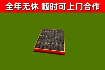 静海回收海参